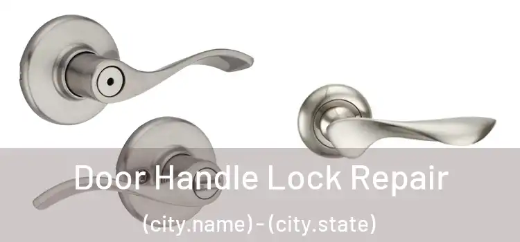 Door Handle Lock Repair (city.name) - (city.state)
